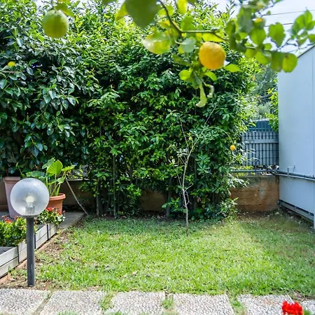 Anthea Apartment